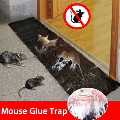 Sticky Mouse & Rat Trap Board 120×28cm